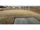 Large backyard and landscaping at 2170 Warbler St, Danville, IN 46122