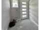 New home entryway showcasing a modern glass-paneled door and natural light at 7352 W County Road 600 Rd, McCordsville, IN 46055