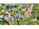 Aerial real estate photography of neighborhood homes and a pond; focal home has a deck and a trampoline at 3441 S Overlook Pass, New Palestine, IN 46163