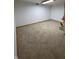 Basement offering neutral walls, carpet and natural light at 8429 Admirals Cv, Indianapolis, IN 46236