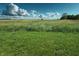 Picturesque scenery of a field featuring tall grass and vibrant greenery under a cloudy sky at 4726 E 210 N, Lebanon, IN 46052