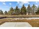 A new backyard is surrounded by mature trees at 5006 Carmine St, Brownsburg, IN 46112