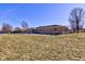 Large backyard with spacious lawn and shed at 4522 Thornleigh Dr, Indianapolis, IN 46226