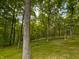 Trees fill the backyard of this property for privacy at 797 S Graveyard Rd, Paragon, IN 46166