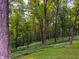 Green backyard with many trees in a private wooded area at 797 S Graveyard Rd, Paragon, IN 46166