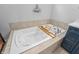 Relaxing bathtub with tray and blue vanity at 78 Chatham Brook Dr, Westfield, IN 46074