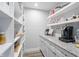 Well-organized pantry with ample shelving and countertop space at 78 Chatham Brook Dr, Westfield, IN 46074