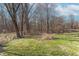 Wooded backyard with grassy area and mature trees at 6800 Beech Grove Rd, Martinsville, IN 46151