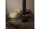 Basement with free weights and punching bag at 9149 Thames Dr, Avon, IN 46123