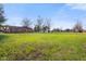 Large backyard with spacious lawn and mature trees at 3699 Lisa Ln, Plainfield, IN 46168