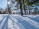 Snow-covered front yard of a ranch style home with tall trees in the foreground at 8231 Spring Valley Dr, Plainfield, IN 46168