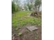 A view of the green backyard, showcasing the property's outdoor space at 2018 N Dearborn St, Indianapolis, IN 46218