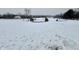 Open snowy pastureland with a pond and horse at 4229 W 700 S, Trafalgar, IN 46181