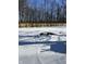 Snowy backyard with wooden fence and leafless trees in the background at 837 S Brentwood Ave, Indianapolis, IN 46239