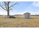 Open backyard with mature trees and shed at 2521 Cicero Rd, Noblesville, IN 46060