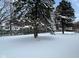 Snowy backyard with tall evergreen trees and a snow covered lawn at 529 S Kiel Ave, Indianapolis, IN 46241