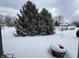 Snowy backyard with evergreen trees and fire pit at 2423 Canvasback Dr, Indianapolis, IN 46234