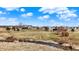 Traditional-style home featuring a well-manicured lawn, mature trees, and a peaceful creek at the edge at 10194 E 900 N, Markleville, IN 46056