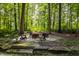Stone fire pit surrounded by comfortable seating in a wooded setting at 11091 Crooked Stick Ln, Carmel, IN 46032