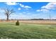 Open green space with a walking path and mature trees at 7159 Rose Hill Ave, Brownsburg, IN 46112