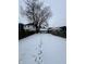 Snowy backyard with a view of the house and wooden fence at 1125 Laurel St, Indianapolis, IN 46203