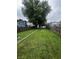 A spacious fenced backyard with a long narrow walkway leading to a storage shed under a large tree at 1125 Laurel St, Indianapolis, IN 46203