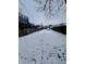 Snowy backyard with a car parked and wooden fence at 1125 Laurel St, Indianapolis, IN 46203