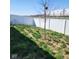 A grassy backyard with a white vinyl fence and a young tree in the center at 5154 Bramwell Ln, Whitestown, IN 46075