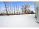 Snowy backyard with trees and a partially visible home at 829 Stark St, Greenfield, IN 46140