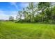 Spacious yard with well-maintained green lawn and natural border of green trees and shrubs at 9711 Palermo Ave, Indianapolis, IN 46239