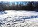 Snowy backyard with leafless trees and shed at 1683 W State Road 42, Mooresville, IN 46158