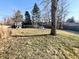 Large, grassy backyard featuring a mature tree, wooden fence, and a small shed, ideal for outdoor activities at 3015 Olive Branch Rd, Greenwood, IN 46143