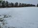 Open snowy field with a line of distant trees at 1545 S Us 421, Zionsville, IN 46077