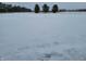 Open snowy field with a line of distant trees at 1545 S Us 421, Zionsville, IN 46077