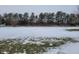 View of a snow covered yard with a line of evergreen trees in the background at 1545 S Us 421, Zionsville, IN 46077