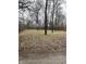 Wooded lot with brown leaves and bare trees in winter at 1837 Luther St, Indianapolis, IN 46203