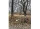Overgrown lot with leaf litter and some trash near the trees at 1841 Luther St, Indianapolis, IN 46203