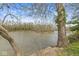 Scenic river view framed by trees, showcasing waterfront beauty with a tranquil atmosphere at 2230 E 75Th St, Indianapolis, IN 46240