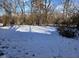 A snowy backyard with mature trees and brush at 3951 N Pasadena St, Indianapolis, IN 46226