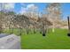Expansive backyard with lush lawn, mature trees, and a privacy hedge bordering the property at 5230 Berkshire South Blvd, Greenwood, IN 46142
