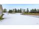 Snowy backyard with trees and a pond at 11537 Jagged Rock Ct, Fishers, IN 46037