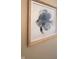Framed watercolor painting of fish at 7887 Elk Dr, Nineveh, IN 46164