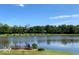 Serene backyard pond with dock, lush landscaping, and tranquil water at 8152 Cottonwood Dr, Martinsville, IN 46151