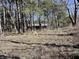 Secluded home hidden among mature trees, perfect for nature lovers at 8660 S Peoga Rd, Trafalgar, IN 46181