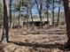 One-story home nestled among mature trees, offering a sense of privacy and seclusion at 8660 S Peoga Rd, Trafalgar, IN 46181