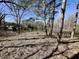 Scenic lake view framed by mature trees at 8660 S Peoga Rd, Trafalgar, IN 46181