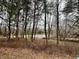 View of pond through mature forest on property at 8660 S Peoga Rd, Trafalgar, IN 46181