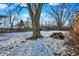 Snowy backyard with large tree, wooden fence, and picnic table at 2934 S Irwin St, Indianapolis, IN 46203