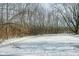 Winter backyard scene with snow-covered ground and trees at 4305 Five Points Rd, Indianapolis, IN 46239