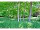 A beautiful backyard with mature trees that offers privacy and a sense of seclusion at 6012 Yellow Birch Ct, Avon, IN 46123